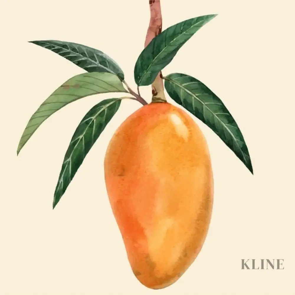 Mango - Image 5
